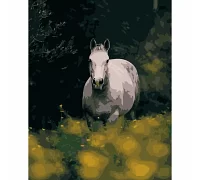 Картина за номерами Кінь серед квітів 40х50 см Strateg (DY105)