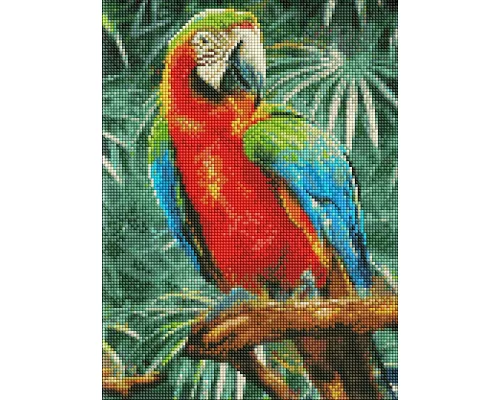Алмазна мозаїка Радужний папужка 30х40 Идейка (AMO7492)