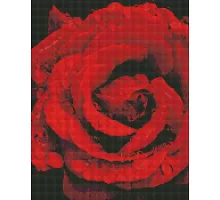 Алмазна мозаїка Троянда в діамантах 40х50 Идейка (AMO7501)