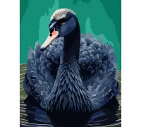 Картина по номерам  Черный лебедь 40*50 см (954514)