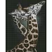 Алмазная мозаика Утонченная пара Жирафов 40х50 на подрамнике Идейка (AMO7533)