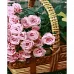 Картина за номерами Кошик троянд з лаком розміром 30х40 см Strateg (SS-6498)