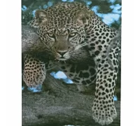 Алмазна мозаїка Леопард на відпочинку розміром 40х50 см Strateg (D0051)