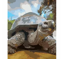 Картина за номерами Доросла черепаха розміром 40х50 см Strateg (GS582)