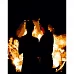 Картина за номерами Двоє в полум'ї розміром 40х50 см Strateg (DY267)