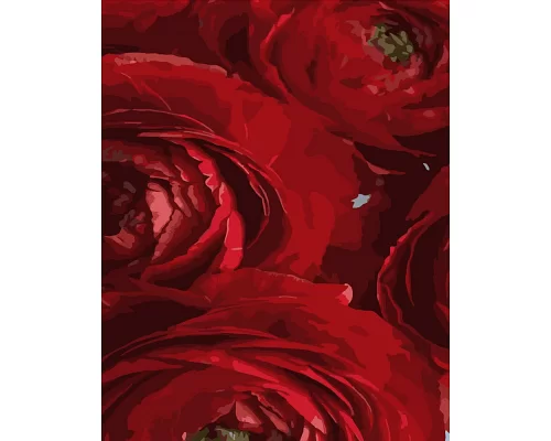 Картина за номерами Червоні квіти розміром 40х50 см Strateg (DY258)