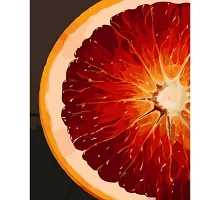 Картина за номерами Сицилійський апельсин розміром 40х50 см Strateg (GS598)