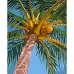 Картина за номерами Кокоси на пальмі розміром 40х50 см Strateg (GS712)
