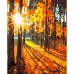 Картина за номерами Сонце восени розміром 40х50 см Strateg (GS727)