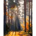 Картина за номерами Ліс на світанку розміром 40х50 см Strateg (GS717)