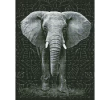 Алмазна мозаїка Непокірний слон Ідейка 40х50 (AMO7542)