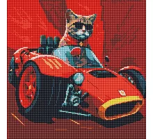 Алмазна мозаїка Життя кота на швидкості 40х40 (AMO7560)
