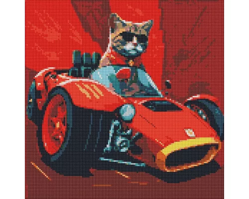 Алмазна мозаїка Життя кота на швидкості 40х40 (AMO7560)