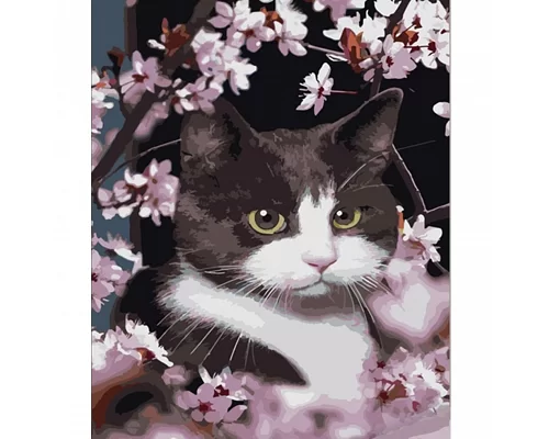 Картина за номерами Strateg Котик у квітах 40х50 см (HH005)