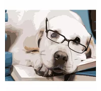 Картина за номерами Strateg Собака в окулярах 40х50 см (HH089)