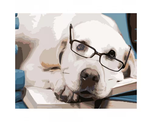 Картина за номерами Strateg   Собака в окулярах 40х50 см (HH089)