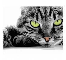 Картина за номерами Strateg Зеленоокий котик 40х50 см (HH090)
