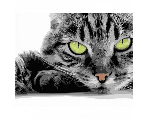 Картина за номерами Strateg Зеленоокий котик 40х50 см (HH090)