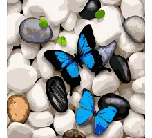 Картина за номерами Strateg Метелики на камінні 40х40 см (SK002)