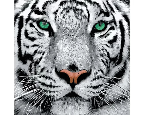 Картина за номерами Strateg Білий тигр 40х40 см (SK023)
