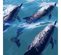 Картина за номерами Strateg Швидкі дельфіни 40х40 см (SK034)