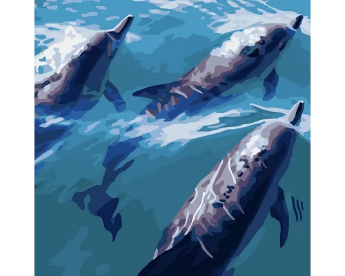 Картина за номерами Strateg   Швидкі дельфіни 40х40 см (SK034)