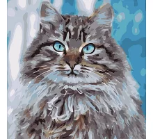 Картина за номерами Strateg Котик з блакитними очима 40х40 см (SK046)