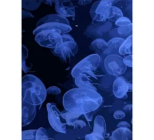 Картина за номерами Strateg Сині медузи 40х50 см (DY365)