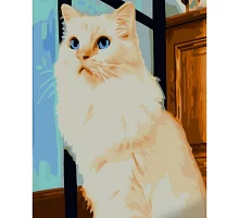 Картина за номерами Strateg Білий котик 40х50 см (GS791)