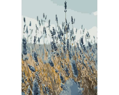 Картина за номерами Strateg Польові квіти 40х50 см (GS923)