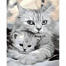 Картина за номерами Strateg Кішка та кошеня 40х50 см (GS1005)