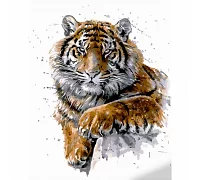 Картина за номерами Strateg   Загрозливий тигр 40х50 см (GS1061)