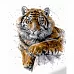 Картина за номерами Strateg Загрозливий тигр 40х50 см (GS1061)