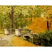 Картина за номерами Strateg Міст в осінь 40х50 см (GS1126)