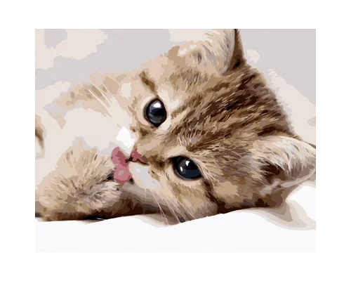 Картина за номерами Strateg Маленьке кошеня 40х50 см (GS1133)
