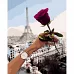 Картина за номерами Strateg Побачення в Парижі 40х50 см (GS1147)