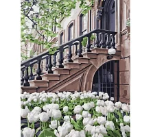 Картина за номерами Strateg Білі тюльпани 40х50 см (GS1202)