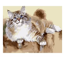 Картина за номерами Strateg Пухнастий котик 40х50 см (GS1323)