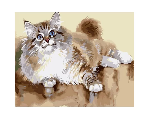 Картина за номерами Strateg Пухнастий котик 40х50 см (GS1323)
