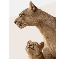Картина за номерами Strateg   Мати левиця з дитинчам   40х50 см (DY402)