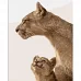 Картина за номерами Strateg   Мати левиця з дитинчам   40х50 см (DY402)