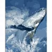 Картина за номерами Strateg Могутність кита 40х50 см (DY401)
