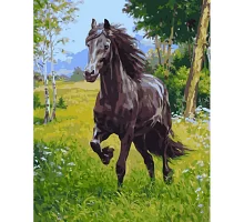 Картина за номерами Strateg Вороний кінь 40х50 см (GS1163)