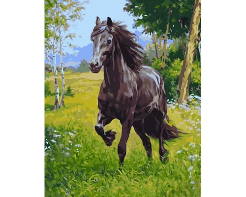 Картина за номерами Strateg Вороний кінь 40х50 см (GS1163)