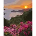 Картина за номерами Strateg Захід сонця та квіти 40х50 см (GS1274)