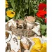 Картина за номерами Strateg   Котики серед тюльпанів   40х50 см (GS1300)