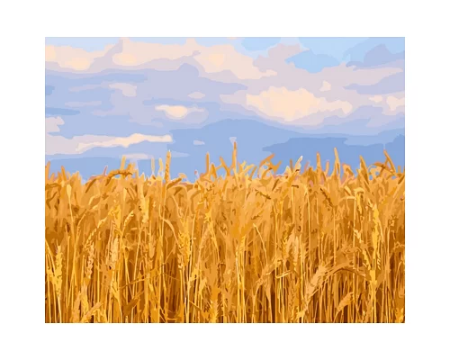 Картина за номерами Strateg Пшеничне поле 40х50 см (GS1337)
