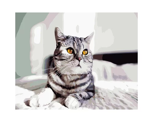 Картина за номерами Strateg Грайливий сірий кіт 40х50 см (GS1335)