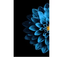 Картина за номерами Strateg Голуба квітка 50х25 см (WW010)