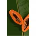 Картина за номерами Strateg Половинки папайї 50х25 см (WW013)